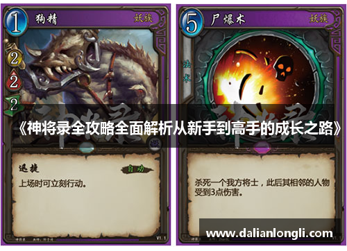 《神将录全攻略全面解析从新手到高手的成长之路》 《神将录全攻略全面解析从新手到高手的成长之路》